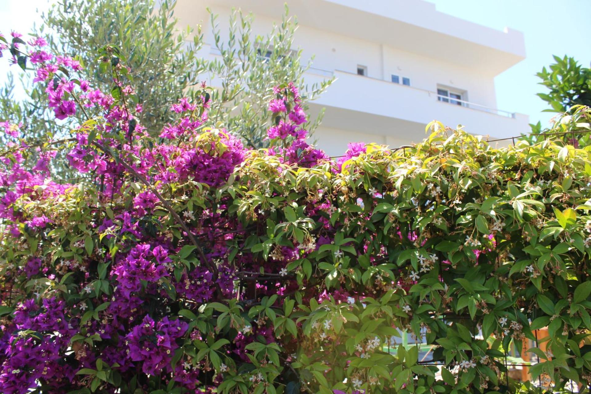Seli'S Villa Ksamil Luaran gambar